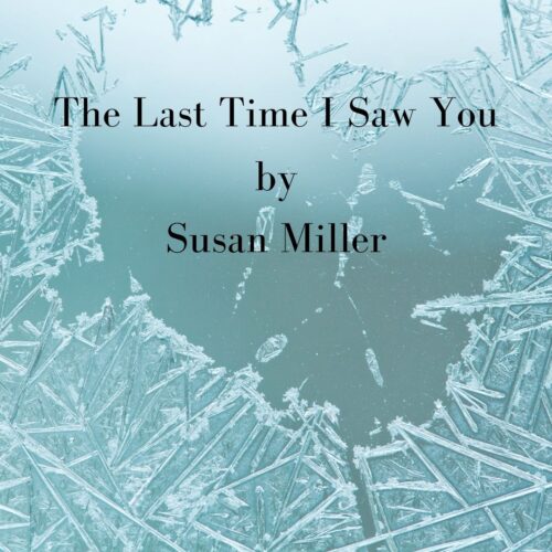 The Last Time I Saw You by Susan Miller
